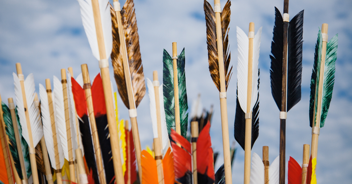 Understanding Arrow Types: Which Is Right for You?