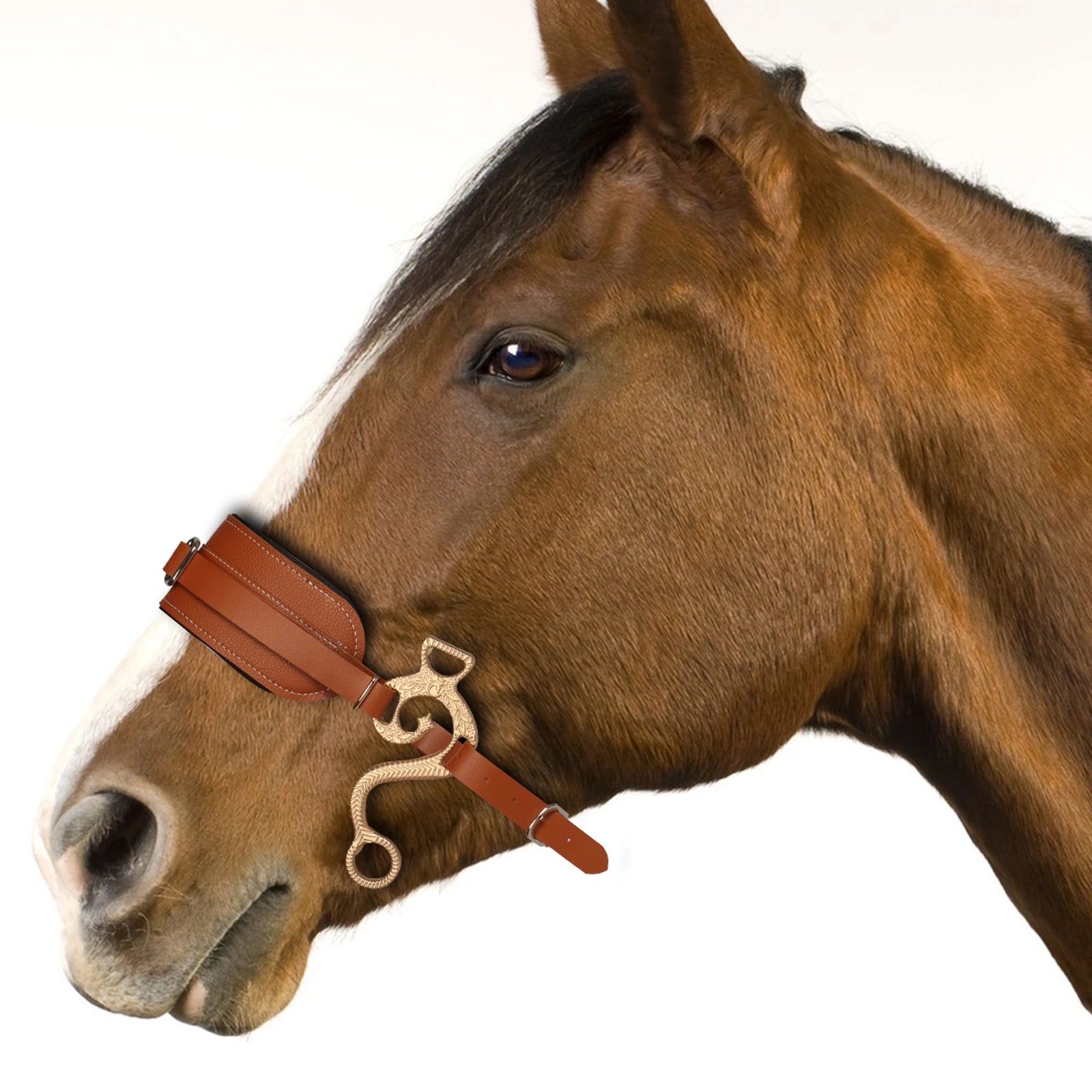 Hackamore Horse Bit Bridle – Brown Leather Adjustable Bitless Bridle with Padded Nose & Curb Chain
