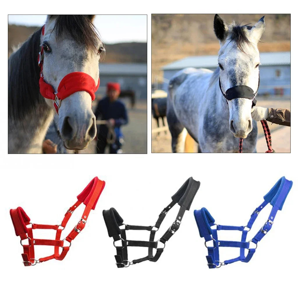Soft Padded Nylon Horse Halter – Comfortable Adjustable Bridle Headstall for Stable & Riding Use
