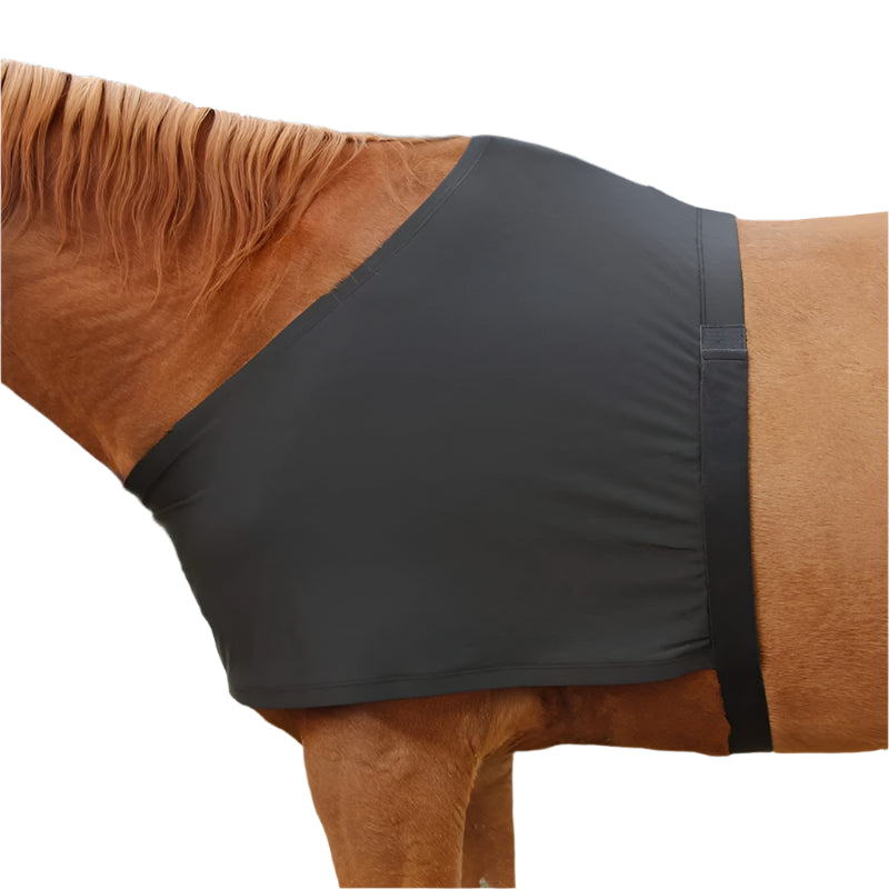 Protective High Elastic Horse Shoulder Pads for Equestrian Comfort & Safety
