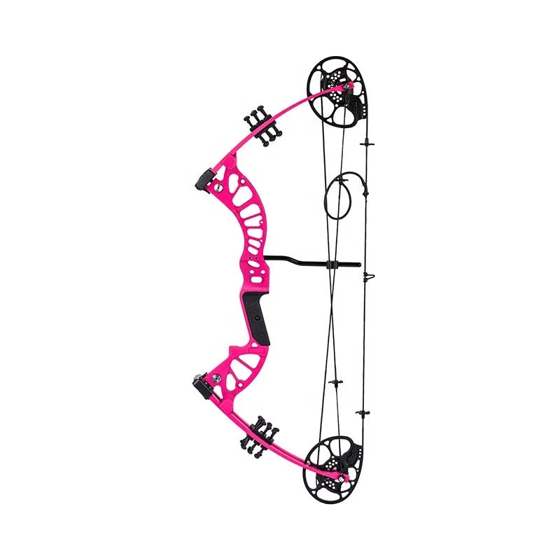 Compound Bow 27.5 Inch Adjustable Hunting Bow for Adults