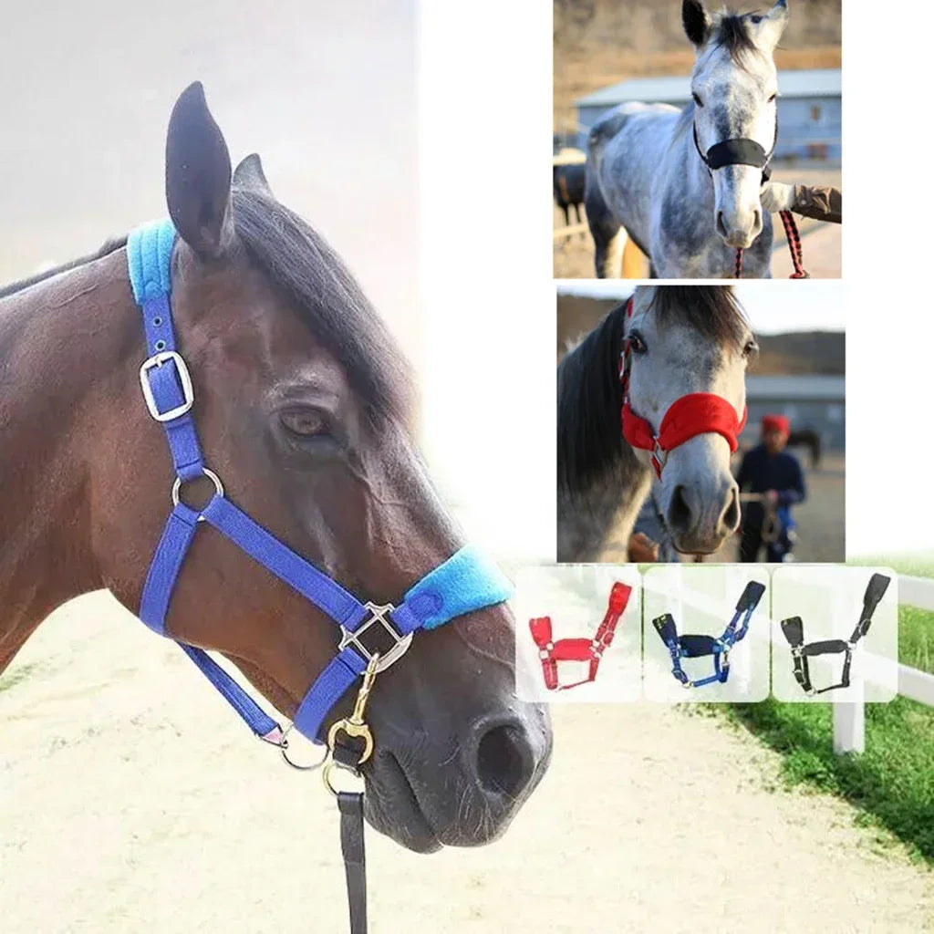 Soft Padded Nylon Horse Halter – Comfortable Adjustable Bridle Headstall for Stable & Riding Use