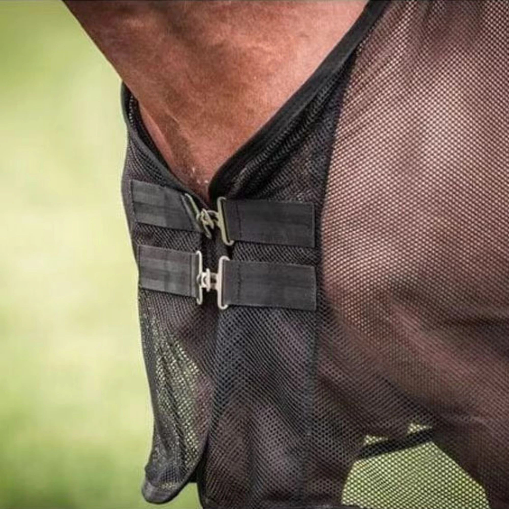 Breathable Mesh Horse Fly Sheet with UV Protection for Summer Comfort