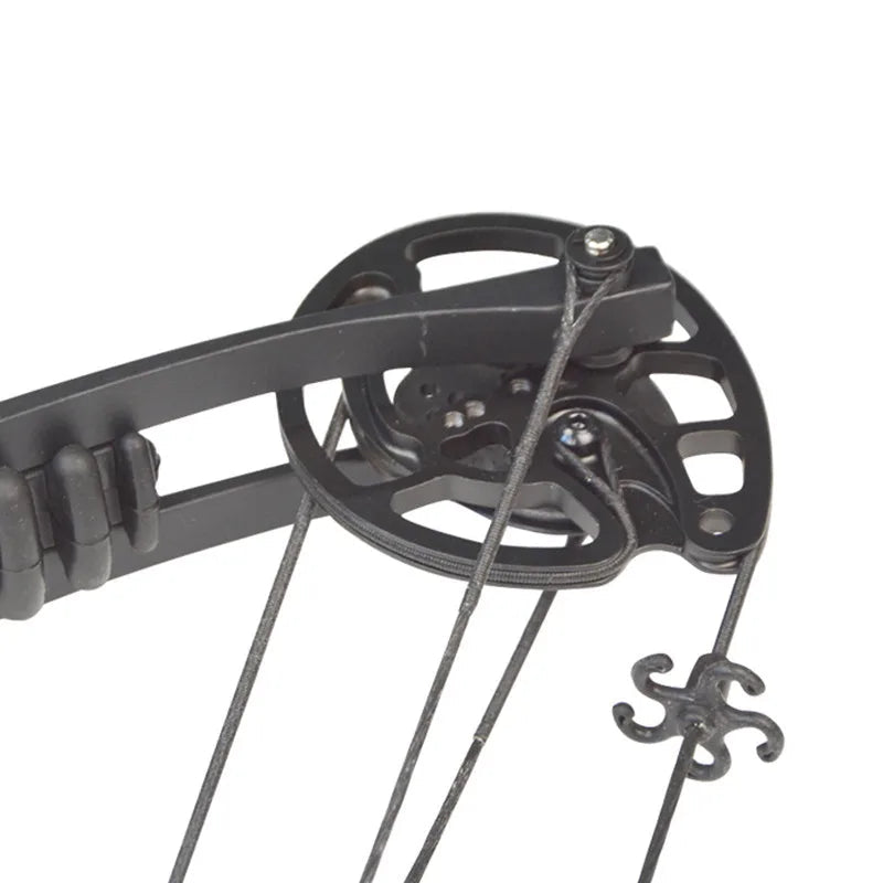 Compound Bow Pulley Set for M131/M125 Archery Replacement