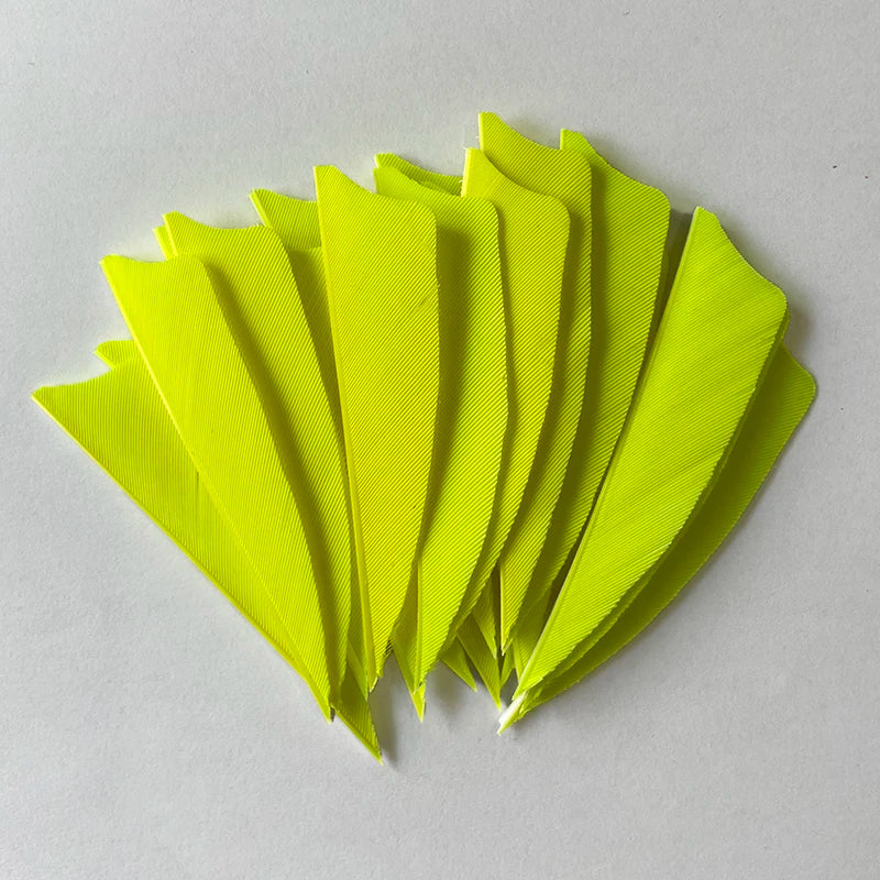 100pcs 3-Inch Shield Cut Turkey Feathers – RW Fletching for Archery & Hunting