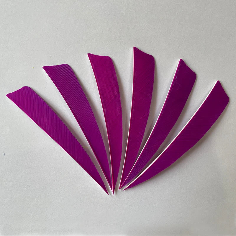 50pcs 4-Inch Turkey Feather Arrow Fletching – RW Shield Cut for Archery