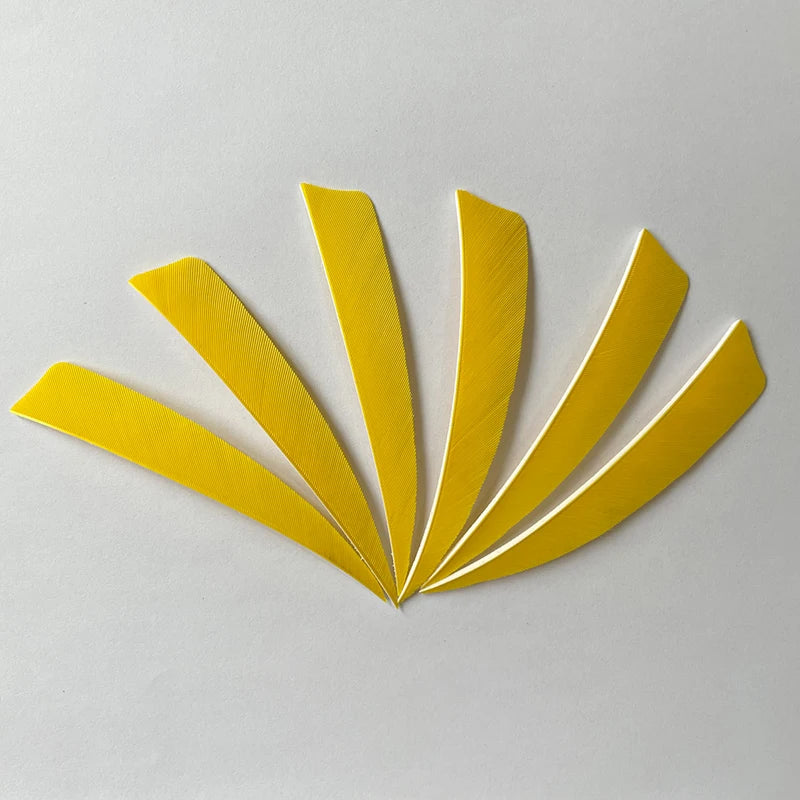 50pcs 4-Inch Turkey Feather Arrow Fletching – RW Shield Cut for Archery