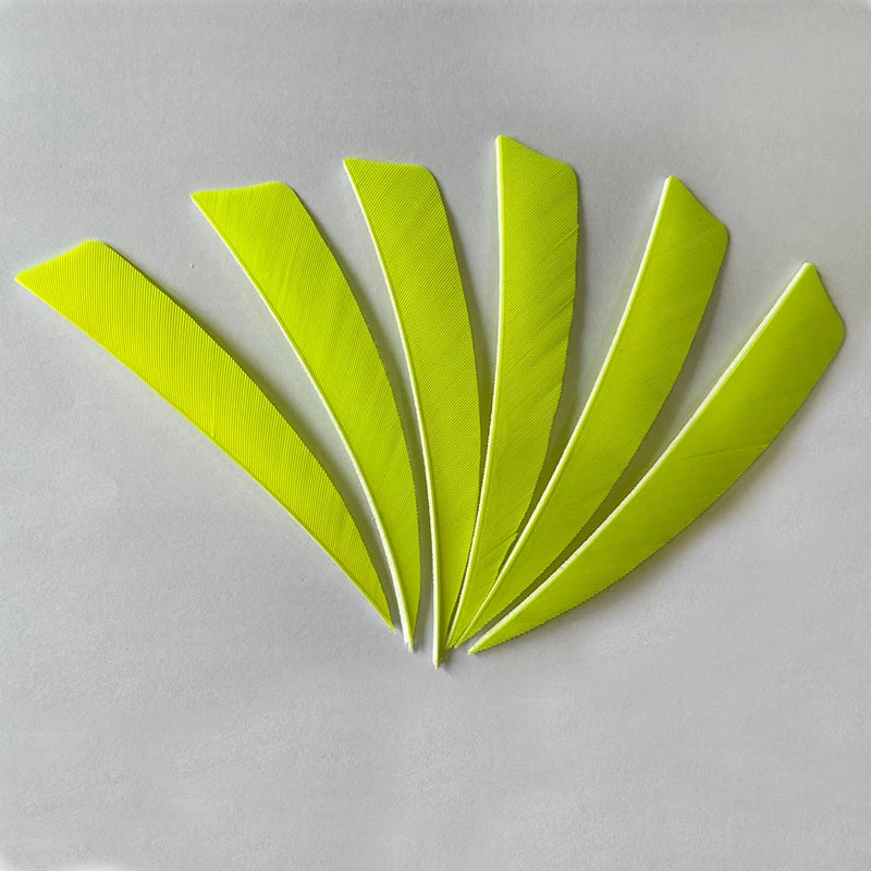 50pcs 4-Inch Turkey Feather Arrow Fletching – RW Shield Cut for Archery