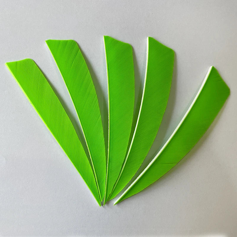 50pcs 4-Inch Turkey Feather Arrow Fletching – RW Shield Cut for Archery
