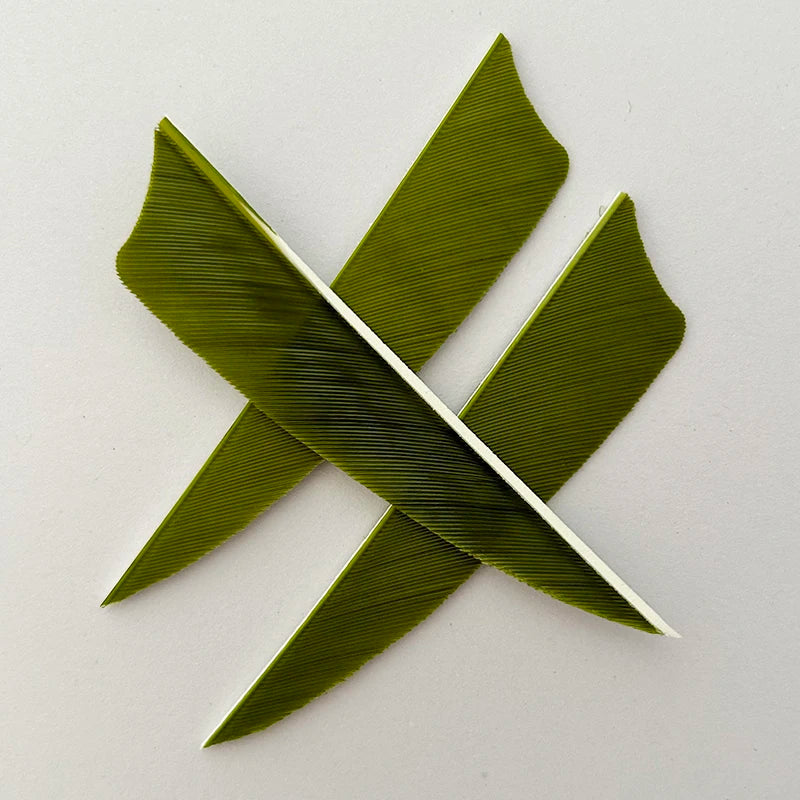 50pcs 3-Inch Natural Turkey Feather Fletching – Shield Cut RW for Archery