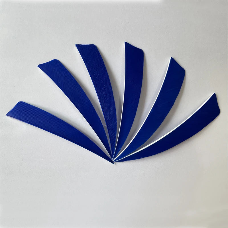 50pcs 4-Inch Turkey Feather Arrow Fletching – RW Shield Cut for Archery