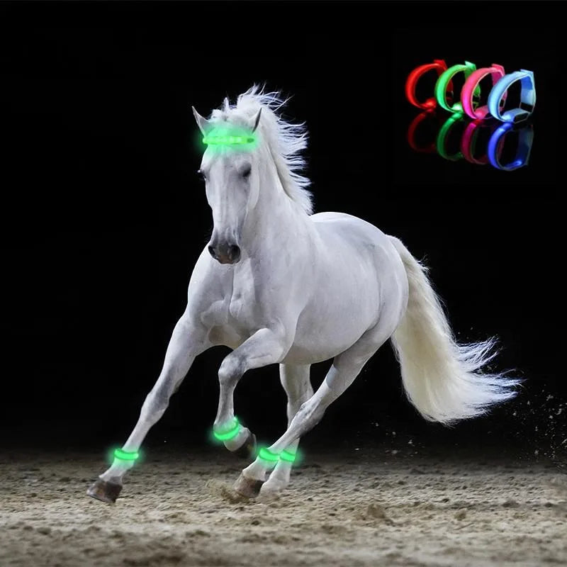 LED Lighting Horse Leg Safety Straps – Night Riding Equestrian Equipment for Enhanced Visibility