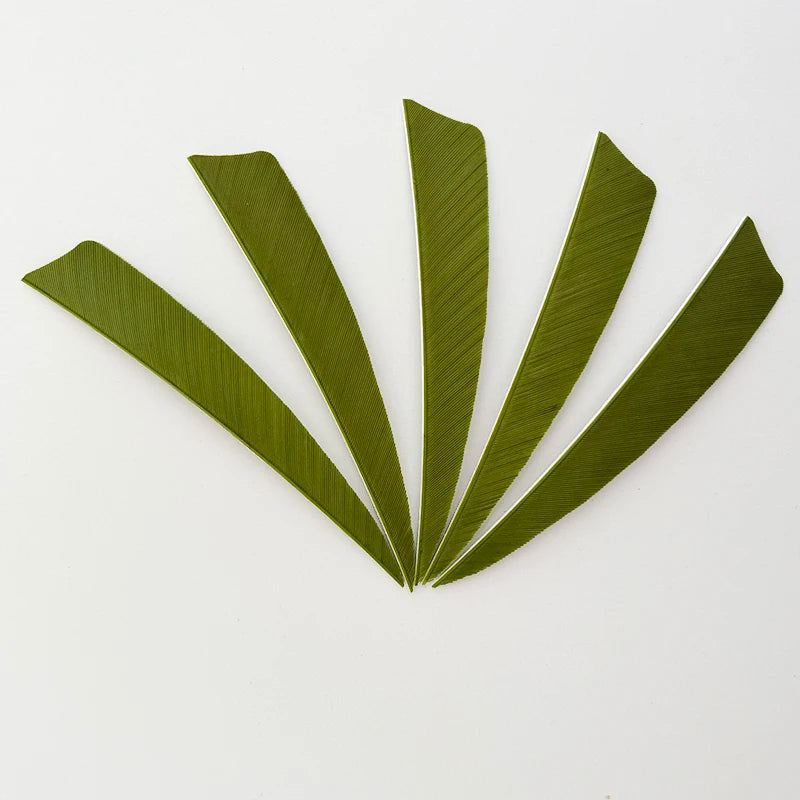 50pcs 4-Inch Turkey Feather Arrow Fletching – RW Shield Cut for Archery
