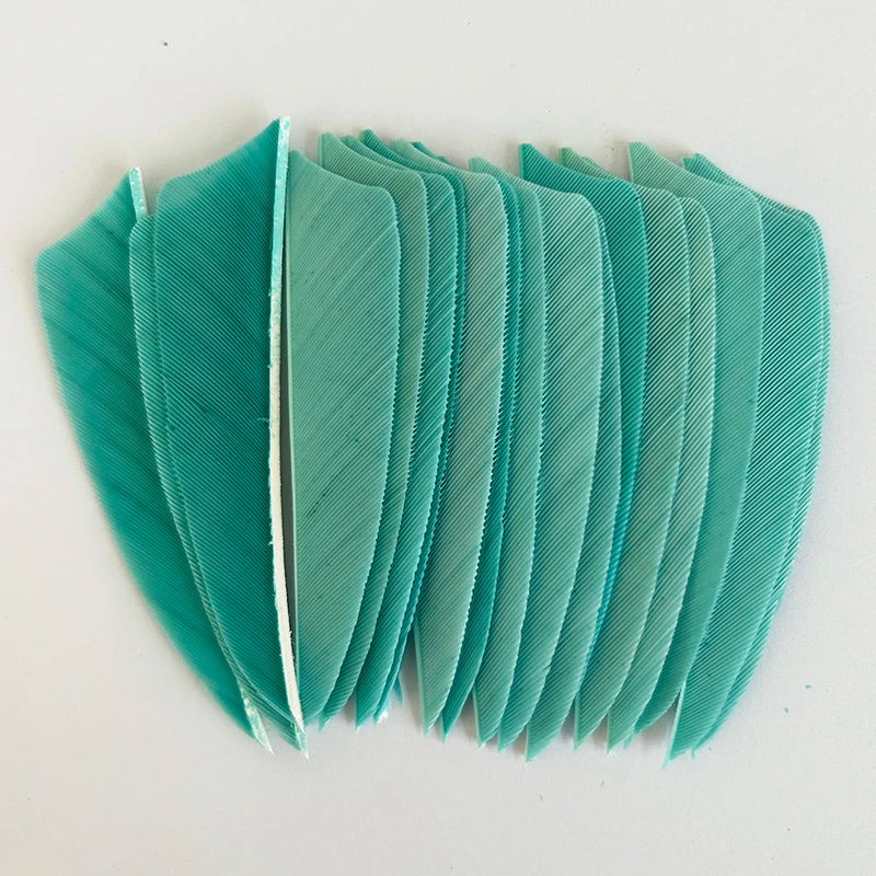 100pcs 3-Inch Shield Cut Turkey Feathers – RW Fletching for Archery & Hunting