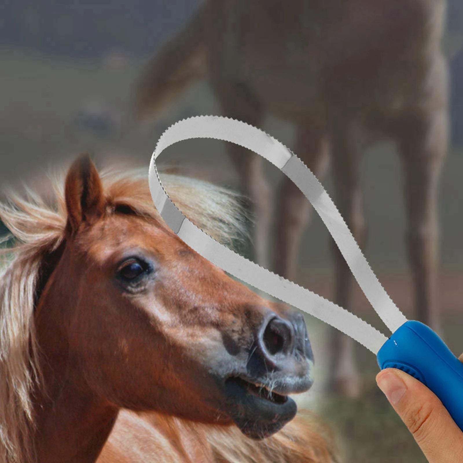 Professional Grade Horse Grooming Comb – Dual-Sided Equestrian Brush & Sweat Scraper