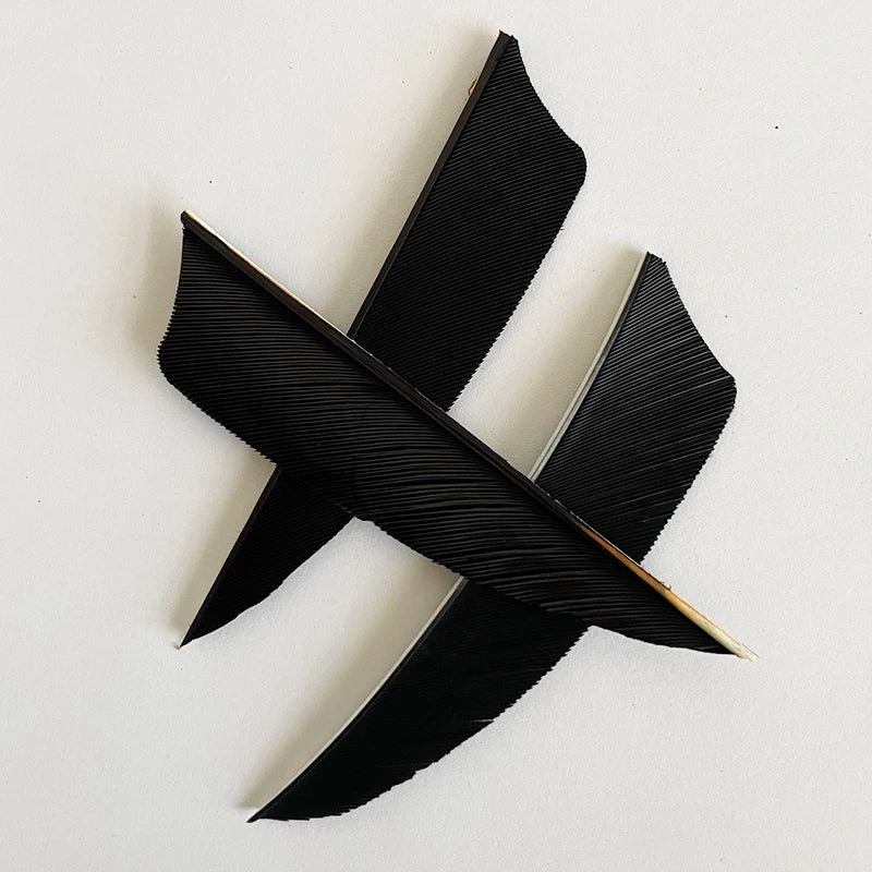 50pcs 3-Inch Natural Turkey Feather Fletching – Shield Cut RW for Archery