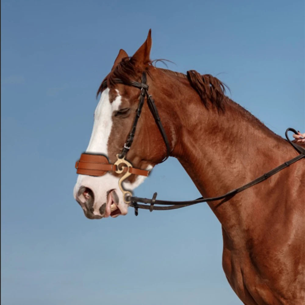Hackamore Horse Bit Bridle – Brown Leather Adjustable Bitless Bridle with Padded Nose & Curb Chain