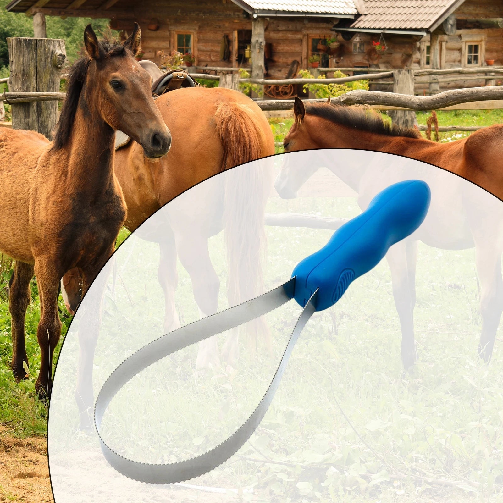 Professional Grade Horse Grooming Comb – Dual-Sided Equestrian Brush & Sweat Scraper