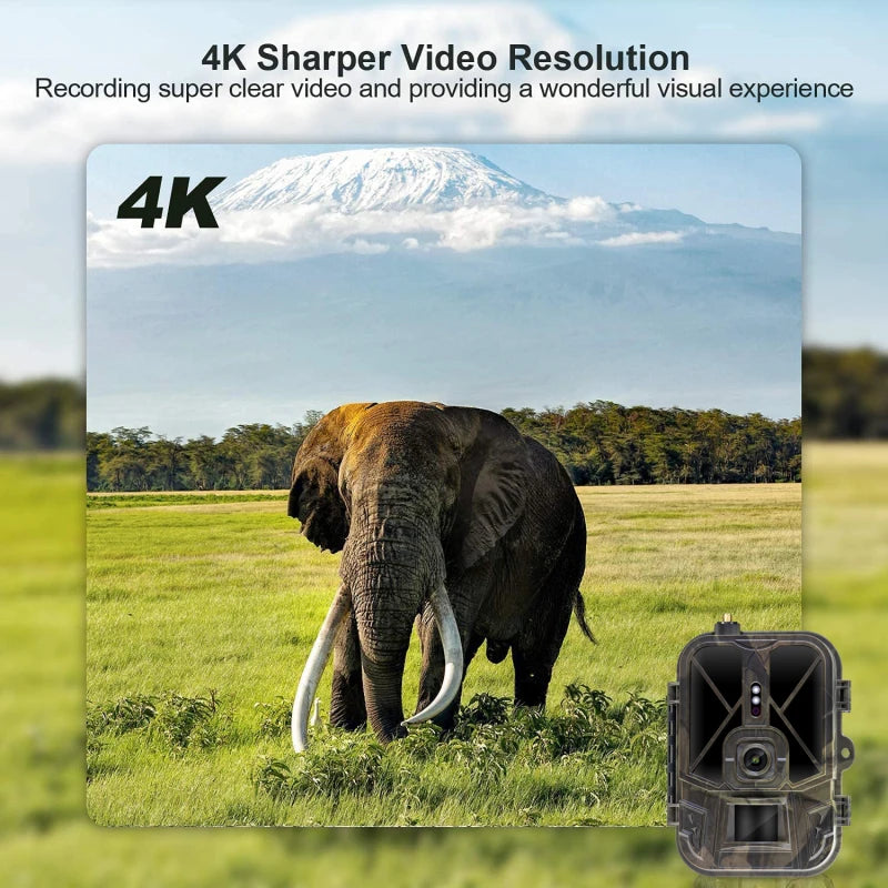 Suntekcam 4G 4K Wildlife Trail Camera, 30MP HD Live Video & Night Vision, Cellular 50MP, Waterproof