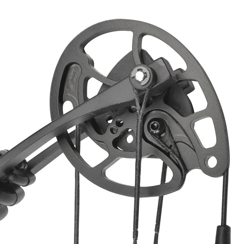 Compound Bow Pulley Set for M131/M125 Archery Replacement