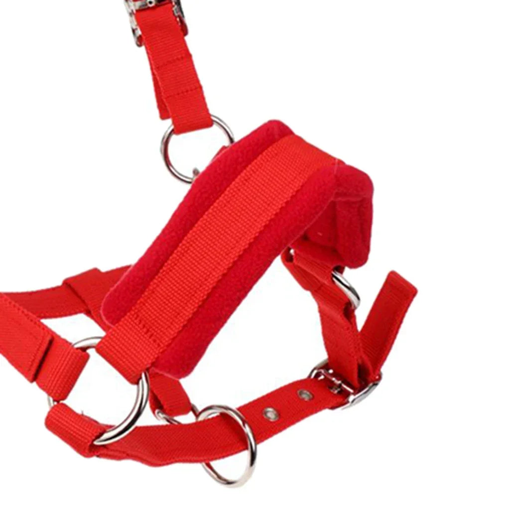 Soft Padded Nylon Horse Halter – Comfortable Adjustable Bridle Headstall for Stable & Riding Use