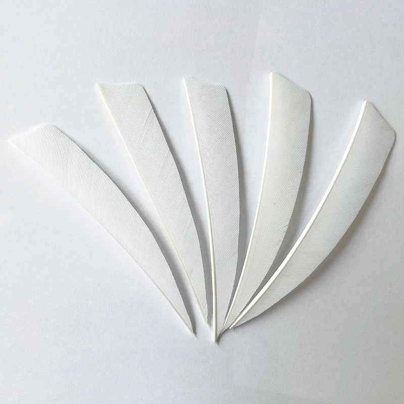 50pcs 4-Inch Turkey Feather Arrow Fletching – RW Shield Cut for Archery
