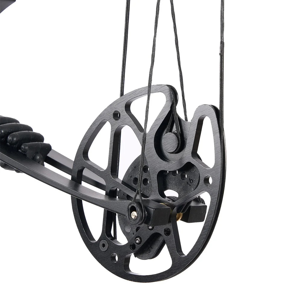 Adjustable 30–60lb Compound Bow with Sight & Stabiliser for Hunting
